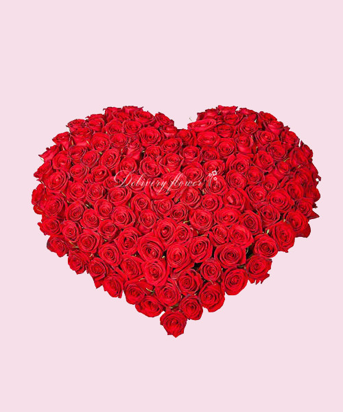 The language of roses
