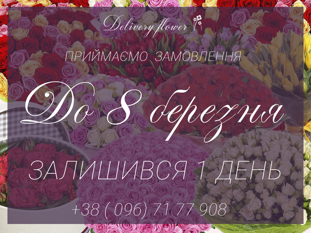 8 mart 3