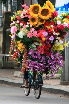 Delivery Flower