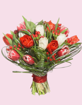 Barbarys_f